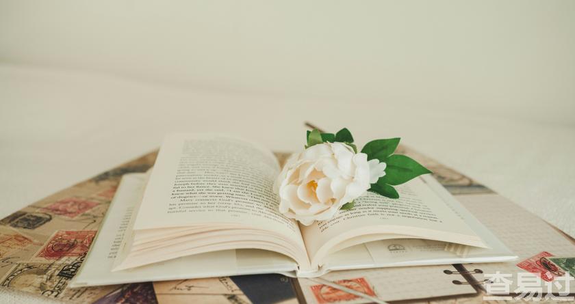 查易过,查易过官方,查易过免费论文查重,查易过论文检测