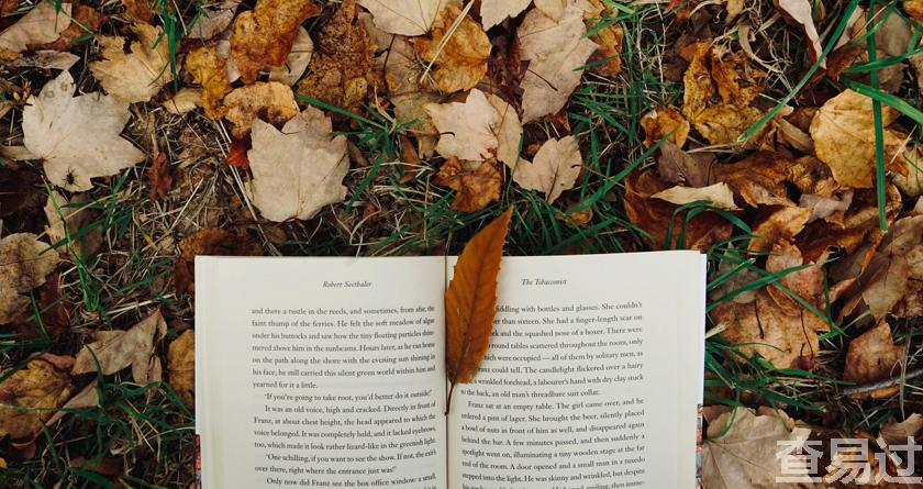 查易过,查易过官方,查易过免费论文查重,查易过论文检测