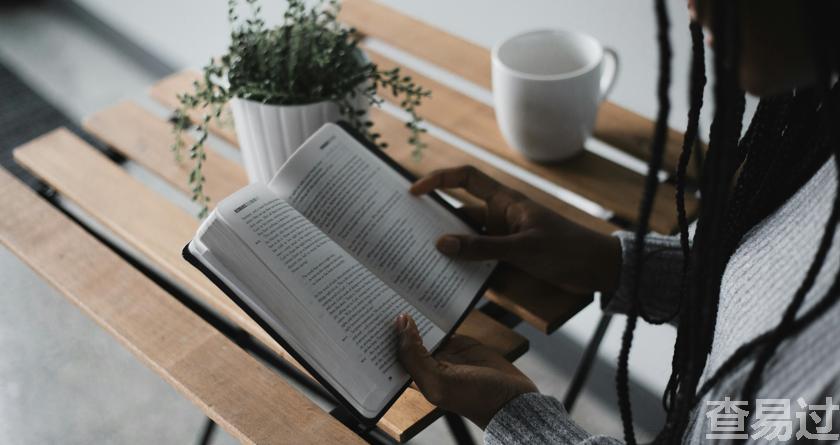 查易过,查易过官方,查易过免费论文查重,查易过论文检测