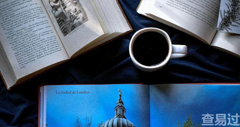 查易过,查易过官方,查易过免费论文查重,查易过论文检测