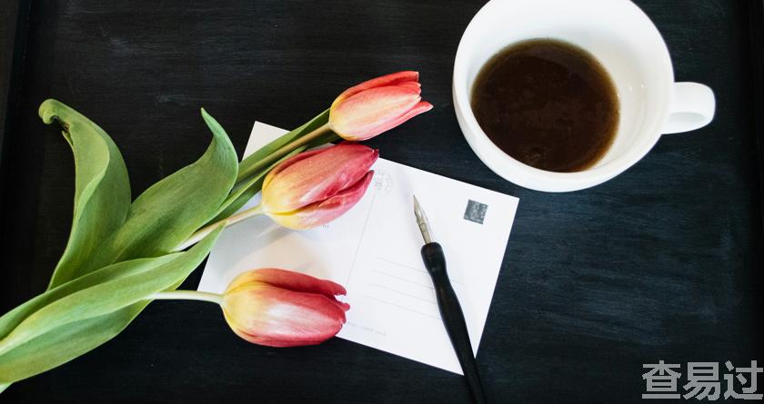 查易过,查易过官方,查易过免费论文查重,查易过论文检测