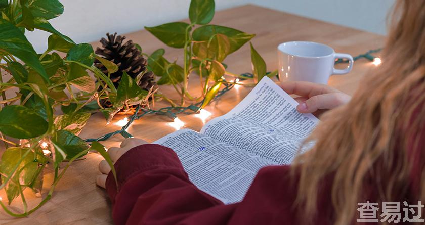 查易过,查易过官方,查易过免费论文查重,查易过论文检测