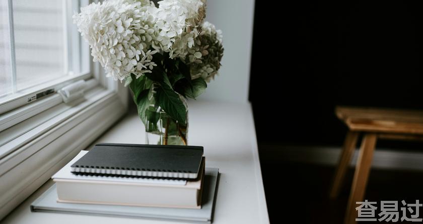 查易过,查易过官方,查易过免费论文查重,查易过论文检测