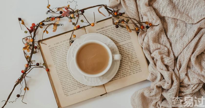 查易过,查易过官方,查易过免费论文查重,查易过论文检测