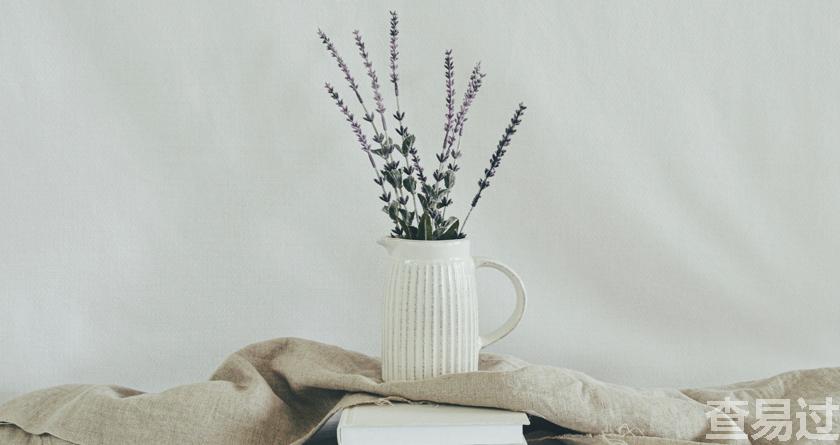 查易过,查易过官方,查易过免费论文查重,查易过论文检测